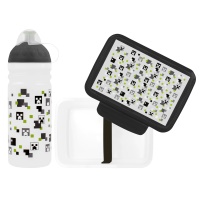 SET Pixel head